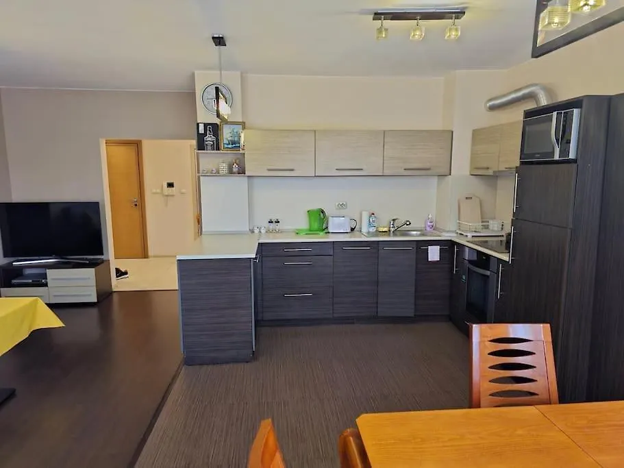 Bright And Spacious Apartment With Panoramic Views Sofia Bulgarije